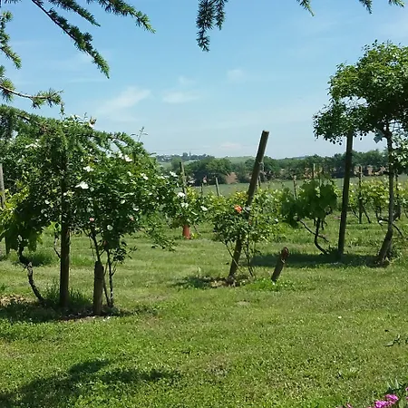 Hotel La Pasteliere 3*