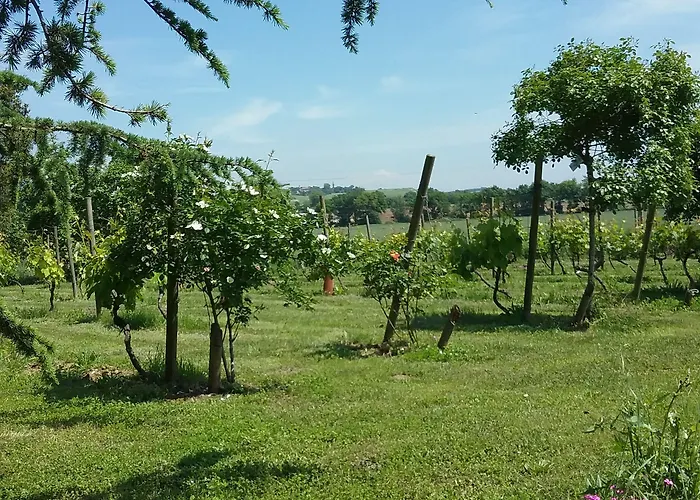 Hotel La Pasteliere 3*