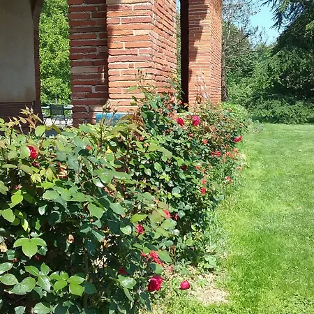 La Pasteliere ホテル 3*