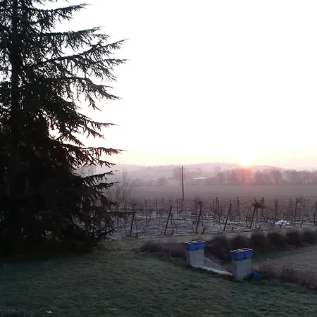 La Pasteliere 3* Gragnague