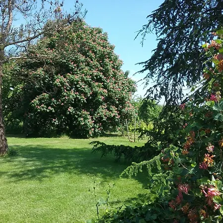 Hotel La Pasteliere Gragnague