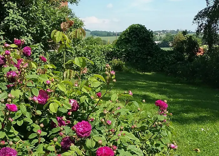 Hotel La Pasteliere Gragnague