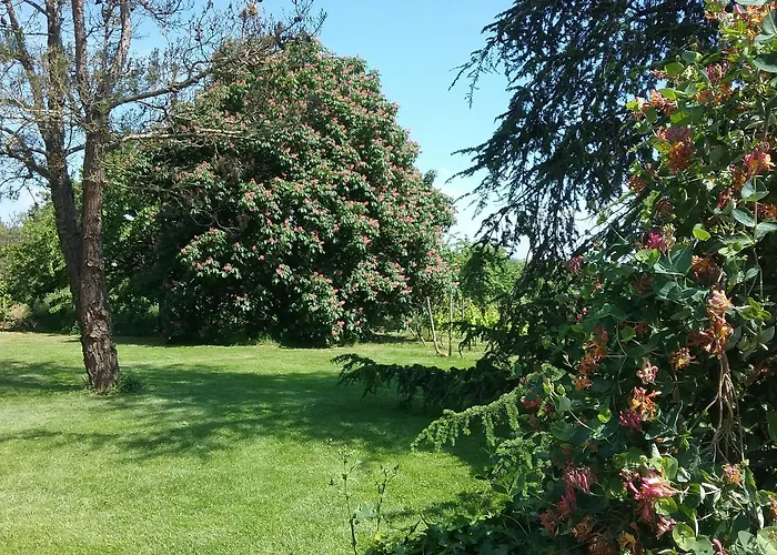 Hotel La Pasteliere Gragnague